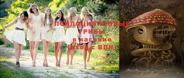 тгк Новозыбков