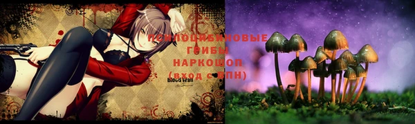 тгк Новозыбков