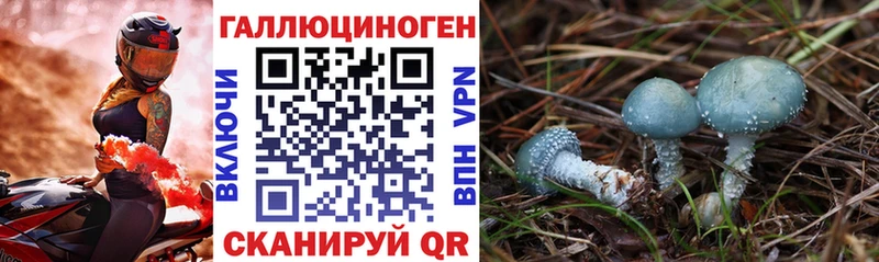 Псилоцибиновые грибы GOLDEN TEACHER  наркотики  Каспийск 