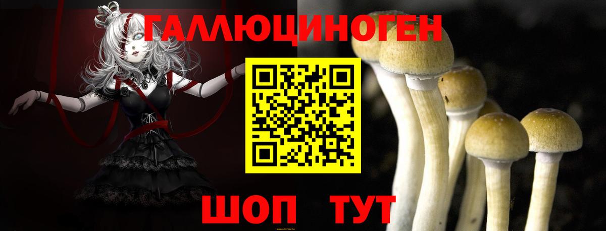 Псилоцибиновые грибы Cubensis  Вход с VPN  Каспийск 